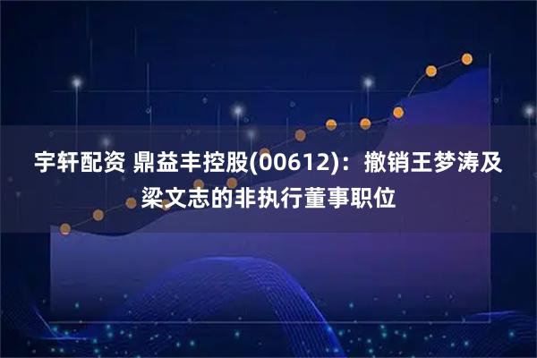 宇轩配资 鼎益丰控股(00612)：撤销王梦涛及梁文志的非执行董事职位