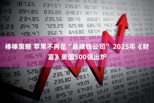 棒棒策略 苹果不再是“最赚钱公司” 2025年《财富》美国500强出炉
